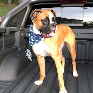 Meet your Posher, Daniel